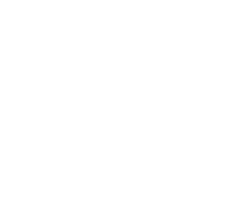 Pay Cat